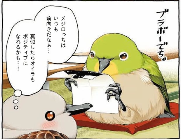 過酷な挑戦、不幸もネタ。メジロの配信者魂に震えるキジバトくん／キジバトくん日記