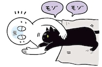 猫への愛が深まる！ 添い寝、枕...飼い主が弱ってるときに優しく寄り添ってくれて／黒猫ろんと暮らしたら2