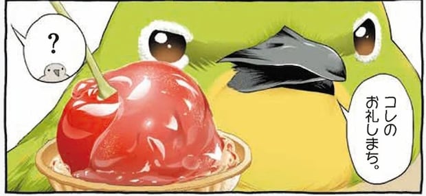 「これが飴のお礼」メジロの恩返しが「倍返し」どころじゃない⁉／キジバトくん日記