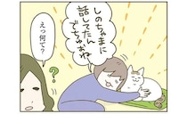 「えっ何て？」「猫に言ったの」飼い猫と会話すると人間が混乱!?／うちの猫がまた変なことしてる。8