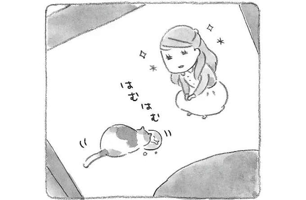 猫がとりもった夫婦の縁。豆ごはんを炊くと思い出すばーさんとの出会い/ねことじいちゃん