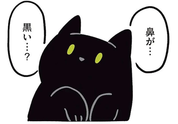猫初心者だった飼い主が驚いた黒猫の個性。鼻の色も肉球の色もヒゲの色も.../黒猫ろんと暮らしたら2