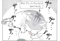 猫に手をグルーミングされて困る飼い主。痛いんだよなぁ...でも可愛いんだよなぁ／夜は猫といっしょ
