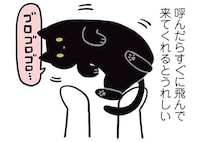 猫を呼んだら...飛んでくる、聞こえてないフリして無視。どっちにしても飼い主は...／黒猫ろんと暮らしたら2