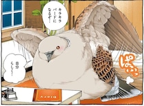 日記を見直しモチベーションアップ。目指せ「自分らしいキラキラバード」／キジバトくん日記2