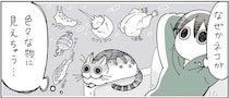 「!?」猫の擬態能力が楽しい。七面鳥、カブトガニ...なぜそう見えちゃうの!?／夜は猫といっしょ