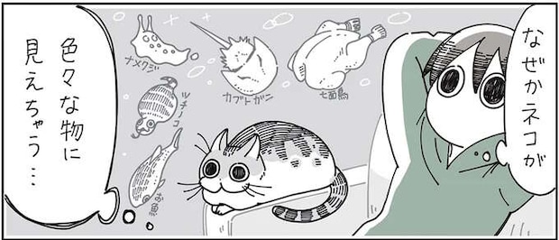 「!?」猫の擬態能力が楽しい。七面鳥、カブトガニ...なぜそう見えちゃうの!?/夜は猫といっしょ