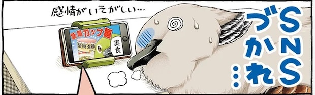 コメントに一喜一憂してぐったり。それでも頑張りたいキジバトくんの決意/キジバトくん日記2