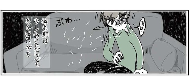 「ぷはっ」抜け毛の時期の猫。ブラッシングしたら...意外と／夜は猫といっしょ2