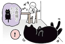ああ～っ。愛猫のかわいいポーズを撮ろうとすると、必ず動いてしまうのはなぜ...／黒猫ろんと暮らしたら3