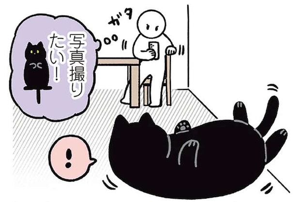 ああ～っ。愛猫のかわいいポーズを撮ろうとすると、必ず動いてしまうのはなぜ...／黒猫ろんと暮らしたら3
