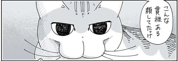 うちの猫「こんな貫禄ある顔してたっけ？」 表情の豊かさに感心していたら...あれ？／夜は猫といっしょ3