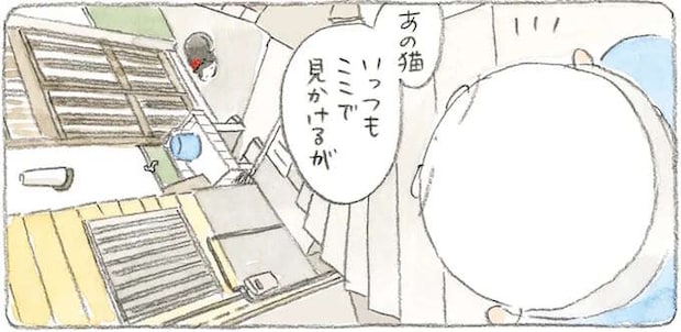 「もうおらんのよ」飼い主を亡くした猫。ずいぶんたつのに待っているようで...／ねことじいちゃん3