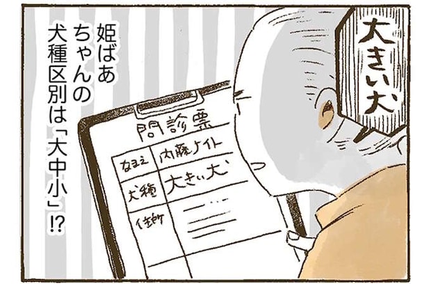 獣医さんも思わず二度見!? おばあちゃんが問診票に記入したレトリバーの問診票／姫ばあちゃんとナイト