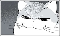 猫のおでこの毛を逆立ててみたくなった飼い主。気にしていないみたいだけど...／夜は猫といっしょ3