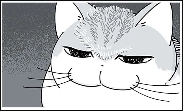 猫のおでこの毛を逆立ててみたくなった飼い主。気にしていないみたいだけど...／夜は猫といっしょ3