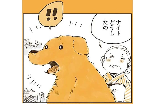 「僕の言葉は聞こえてる？」夢の中でヒトの言葉を話せたレトリバー。でも肝心のばあちゃんには...／姫ばあちゃんとナイト