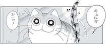 目が合うと、甘えたそうにする猫。でも、どうしてそこで...？／夜は猫といっしょ3
