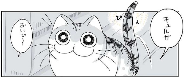 目が合うと、甘えたそうにする猫。でも、どうしてそこで...?/夜は猫といっしょ3