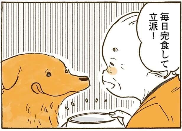 愛犬のレトリバーは毎日完食してるけど同じ味で飽きない!? おばあちゃんは新婚時代も思い出して／姫ばあちゃんとナイト