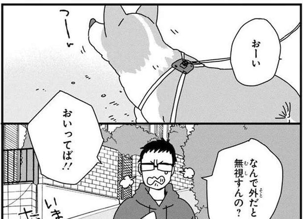 「おーい」「はーい」愛犬・コーギーとの微笑ましいやり取り。でも一歩外に出たら？／あしょんでよッ3
