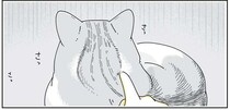 猫のもふもふ後頭部。ついやってしまいたいことは...／夜は猫といっしょ4