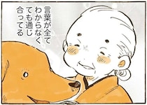 おばあちゃんとレトリバーは目と目で会話できる。真似してみたら...あれ？／姫ばあちゃんとナイト