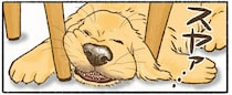 なんでそこで!? 愛犬のレトリバーがいちいち寝にくいところで...／今日もゴールデンレトリバーに癒されて