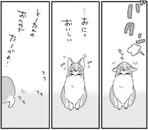 いじらしい愛犬のコーギー。おやつは「いつ、誰と食べるか」も重要!?／あしょんでよッ3