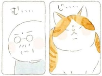 じいちゃんと猫の幸せな昼ごはん。「うまい」掘りたてのたけのこと特製手こね寿司／ねことじいちゃん6