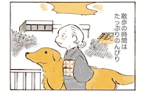 おばあちゃんと愛犬レトリバーの散歩。草むら、ベンチ、公園...のんびりたっぷり楽しんで／姫ばあちゃんとナイト