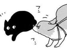 猫にびびりまくりの愛犬コーギー。でも子猫が相手だと？／あしょんでよッ4
