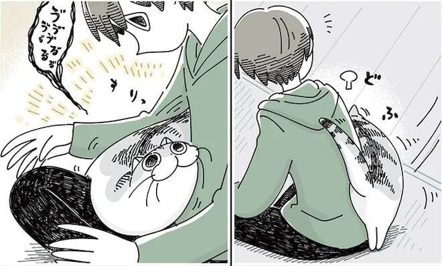 猫をたっぷり撫でた直後。一心不乱な行動に「切ない...」／夜は猫といっしょ4