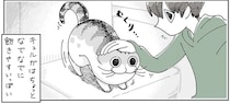 なでなでに飽きやすい猫。すぐどこかへ行っちゃう...くせに再燃？／夜は猫といっしょ4