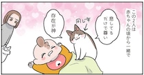 「口が達者な4歳娘」と「異様に過保護な猫たち」。今日も我が家は賑やかです／マジレス幼児とモンペ猫