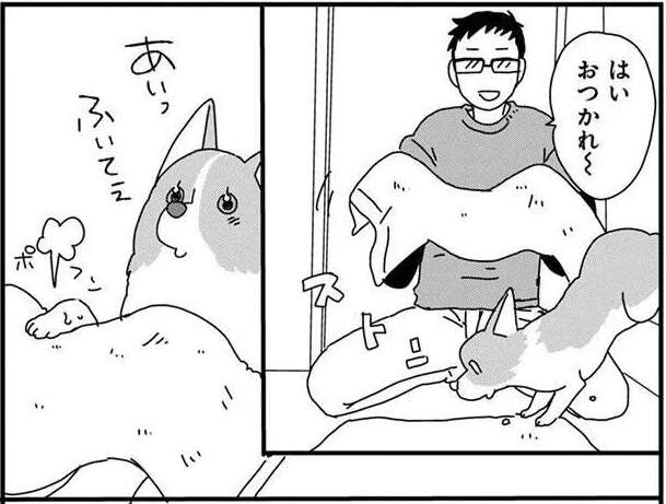 愛犬コーギーとお風呂。おりこうな姿が...かわいい！／あしょんでよッ4