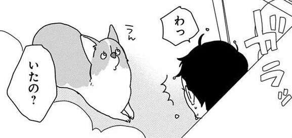 「あれ？ いたの!?」愛犬コーギーの飼い主ストーキング。いつも一緒にいたい？／あしょんでよッ4