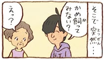 息子がくれた二匹の子がめ。仕事を引退した夫と一緒に「飼ってみようか」／おばあちゃんとかめ