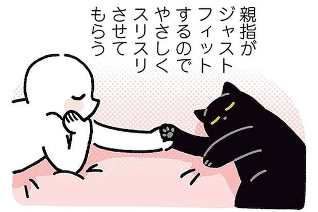 「猫の肉球よりも好きな場所」。飼い主が触りすぎるとポンと...／黒猫ろんと暮らしたら4