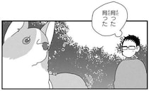 この人は、ボクが好き！ 愛犬コーギーの「ナンパ」が積極的すぎ／あしょんでよッ4