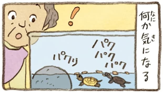 2匹とも食べてはいるけれど。おばあちゃんがかめの餌やりで気付いたこと／おばあちゃんとかめ