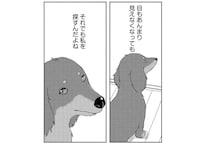 余命1カ月の愛犬。見えなくても聞こえなくても、私を探していて...／アルへ