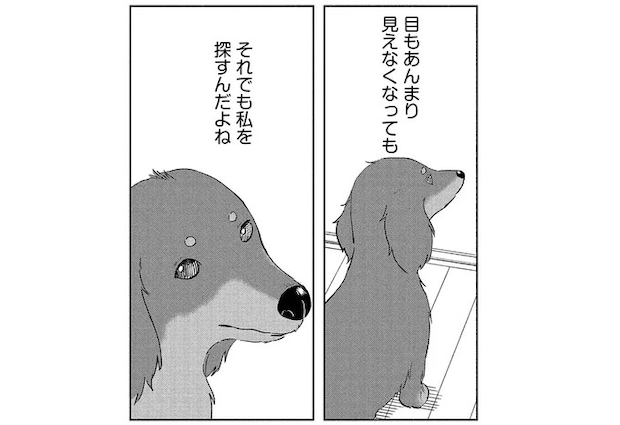 余命1カ月の愛犬。見えなくても聞こえなくても、私を探していて.../アルへ