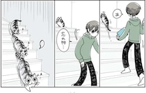 部屋を移動するとついてきてくれる猫。飼い主が忘れ物に気付いたら...？／夜は猫といっしょ5