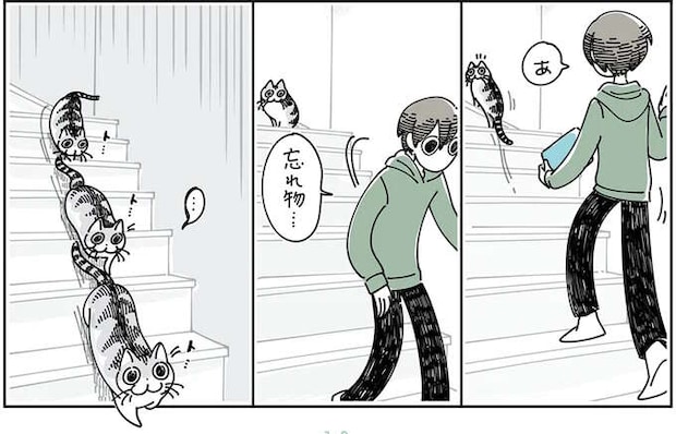 部屋を移動するとついてきてくれる猫。飼い主が忘れ物に気付いたら...?/夜は猫といっしょ5