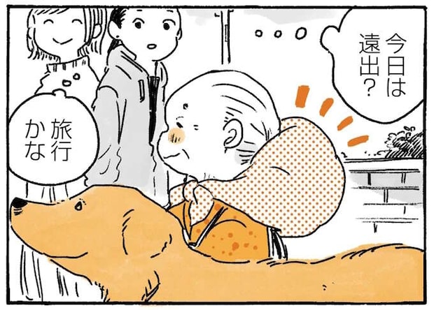 急な雨に備えるおばあちゃんと愛犬レトリバー。荷物が多くなって/姫ばあちゃんとナイト2