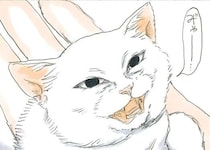 母猫とはぐれ、保護された子猫。忘れられない感動のシーンは／拾い猫のモチャ2