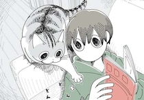 飼い主が気付いた「猫の心の動き」。お腹に乗ろうとしたはずなんだけど...／夜は猫といっしょ5