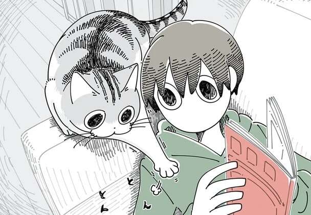 飼い主が気付いた「猫の心の動き」。お腹に乗ろうとしたはずなんだけど.../夜は猫といっしょ5