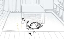 しっぽで返事する猫。でも呼ぶ人によって対応が違って...え？／夜は猫といっしょ5